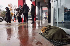 İç ısıtan hareket: Soğuktan titreyen köpeği şalla sardılar