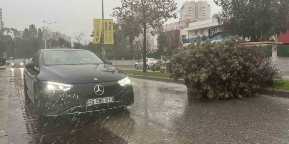 İzmir’de fırtına ağaçları devirdi: 5 araç hasar gördü