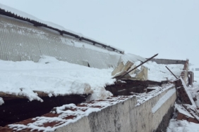 Kar nedeni ile ahırın çatısı çöktü, 11 hayvan telef oldu