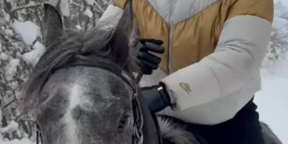 Kar üstünde dört nala at şovu