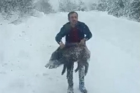 Karlı yolda domuzu elleriyle yakalayan adam konuştu: "Bir anı olsun diye yakaladım, kimseye tavsiye etmem"
