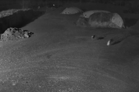 Kars’ta kurtlar köpeği götürdü