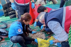 Kastamonu’da beyaz kum midyesi avcılığına yönelik denetimler sürüyor