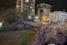 Kayseri’de kuvvetli rüzgar: Ağaç otomobilin üzerine devrildi