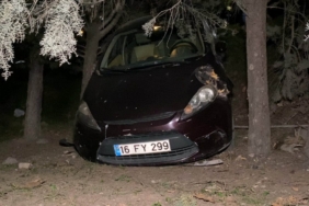 Kazadan sonra panik yaptı, alışveriş merkezinin bahçesine uçtu