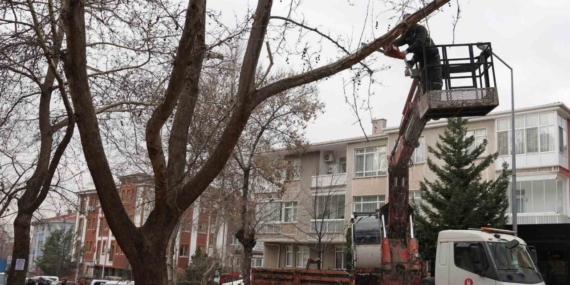 Keçiören Belediyesi, park ve yeşil alanlardaki bakım çalışmalarına devam ediyor