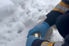 Kedinin başına sıkışan konserveyi sağlık ekipleri çıkardı