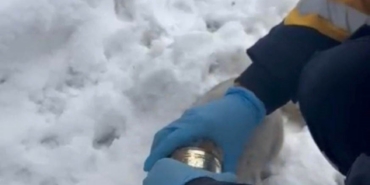 Kedinin başına sıkışan konserveyi sağlık ekipleri çıkardı