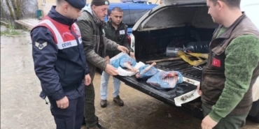 Kırklareli’de yasa dışı karaca avına ağır ceza