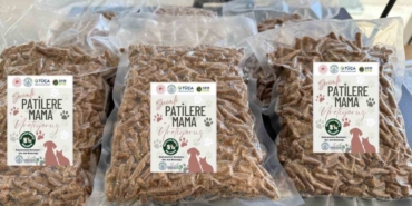 Kızılcahamam’da yemek atıkları kedi ve köpek mamasına dönüşüyor