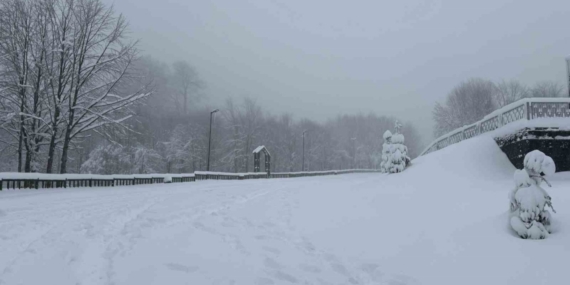 Kocaeli’nin yüksek kesimlerine lapa lapa kar yağıyor