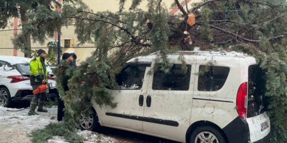Kökünden sökülen ağaç park halindeki aracın üzerine devrildi