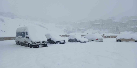 Kulp’ta 10 yılın en yoğun kar yağışı: Araçlar kar altında kaldı