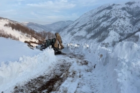 Kulp’ta kış yüzünü sert gösterdi