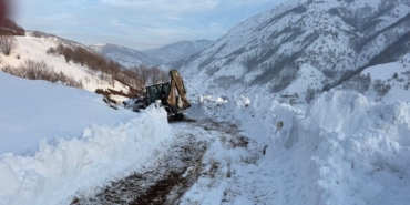 Kulp’ta kış yüzünü sert gösterdi