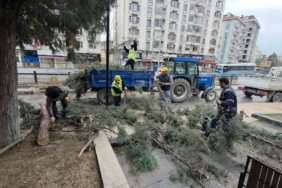 Kütahya’da fırtına ve aşırı rüzgâr ağaçları devirdi