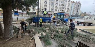 Kütahya’da fırtına ve aşırı rüzgâr ağaçları devirdi