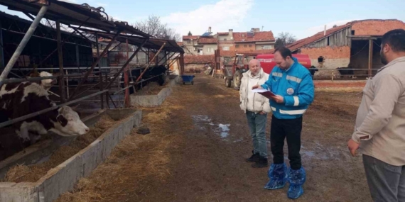 Kütahya’da hayvancılık işletmelerine yönelik kapasite tespiti sürüyor