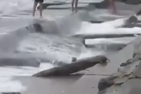 Kuvvetli lodos Caddebostan Sahili’i vurdu, denize giren 3 kişi hastanelik oldu