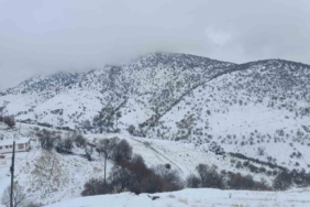 Malatya’da kırsal kesimlerde kar etkili oluyor