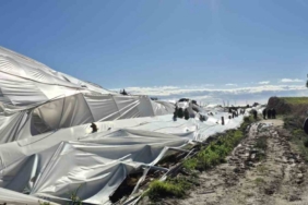 Manavgat’ta hortumdan zarar gören bölgelerde hasar tespit çalışması yapıldı