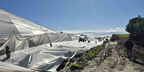 Manavgat’ta hortumdan zarar gören bölgelerde hasar tespit çalışması yapıldı