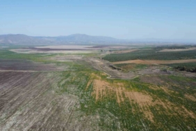 Manisa’da kuruyan Marmara Gölü yeniden canlanıyor