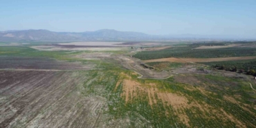 Manisa’da kuruyan Marmara Gölü yeniden canlanıyor