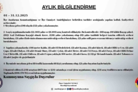 Mazıdağı’nda aralık ayı asayiş raporu açıklandı: 172 şahıs yakalandı