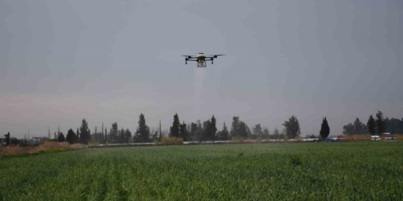 Mersin’de dronla gübreleme ve ilaçlama çiftçinin zayiatını sıfıra indirdi, zamandan tasarruf sağladı