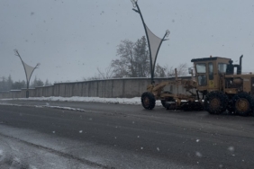 Meteoroloji uyarmıştı: Bingöl’de kar etkisini sürdürüyor