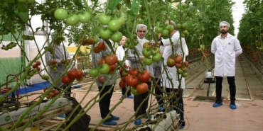 Modern sera yatırımları Salihli’de tarımı güçlendiriyor