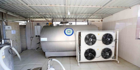 Muğla Büyükşehir, tamamlanan yatırımları toplu açılışla hizmete alıyor