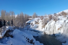 Muradiye Şelalesi buz tuttu