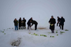 Muş’ta yaban hayvanları için doğaya yem bırakıldı