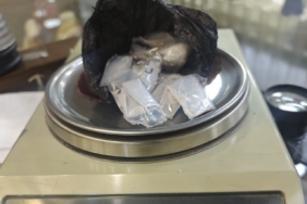 Ordu’da uyuşturucu operasyonu: 2 tutuklama