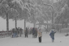 Ordu’da yeni yılın ilk kar yağışı etkili oldu