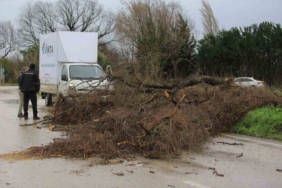 Osmangazi Belediyesi’nden lodosa karşı etkin müdahale