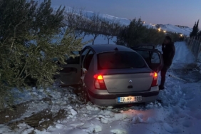 Otomobil şarampole girdi: 2 yaralı