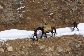 Prof. Dr. Lokman Aslan: "Yaban hayvanlarına yiyecek bırakmak ekolojik dengeyi bozuyor"