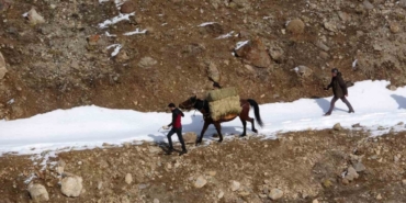 Prof. Dr. Lokman Aslan: "Yaban hayvanlarına yiyecek bırakmak ekolojik dengeyi bozuyor"