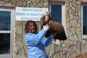 Prof. Dr. Lokman Aslan’dan kritik uyarı: "Yaban hayatına müdahale merhamet değil tehlikedir"