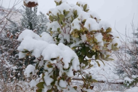 Pütürge’de kartpostallık görüntüler