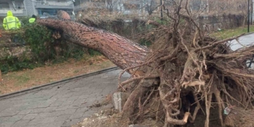 Salihli’yi fırtına vurdu, ağaçlar devrildi, çatılar uçtu