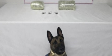 Şanlıurfa’da 2 kilo kubar esrar ele geçirildi: 1 gözaltı