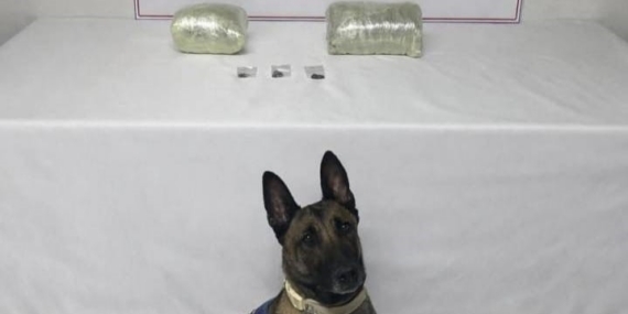 Şanlıurfa’da 2 kilo kubar esrar ele geçirildi: 1 gözaltı