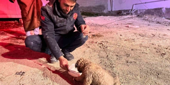 Şanlıurfa’da 20 metrelik sondaj kuyusuna düşen yavru köpek kurtarıldı