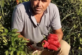 Şanlıurfa’da asansör faciası: Boşluğa düşen servis şoförü hayatını kaybetti