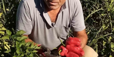 Şanlıurfa’da asansör faciası: Boşluğa düşen servis şoförü hayatını kaybetti