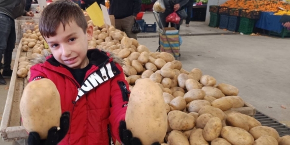 Sarıgöl pazarında dev patatesler ilgi odağı oldu